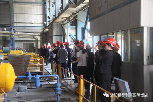 对标先进拓思路，钼都利豪饭店管理人员及先进员工代表赴集团公司参观学习酒店管理经验