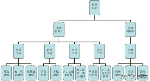 酒店管理职业规划 从行业现状到个人成长的全面指南